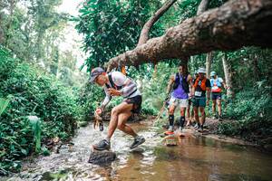 BIB: 
                            <button type="button" onclick="openModal(25368701)" class="btn btn-primary btn-sm float-right btn-popup" data-toggle="modal" data-target=".modal-high-quality">
                        <i class="fas fa-shopping-cart"></i> Add to Cart
                    </button>
                                            <button type="button" onclick="isThisMe(25368701, true)" class="btn btn-success btn-sm float-right btn-popup btn-isme hidden" data-toggle="tooltip" data-placement="bottom" title="นี่คือรูปของคุณใช่ไหม คลิกที่นี่เพื่อเอาเข้าอัลบั้ม">
                        <i class="fas fa-plus"></i> Add to album
                    </button>
                    <button type="button" onclick="isThisMe(25368701, false)" class="btn btn-warning btn-sm float-right btn-popup btn-isnotme hidden">
                        <i class="fas fa-ban"></i> Remove from album
                    </button>